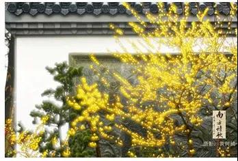 微信图片_20200326155325.jpg