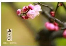 微信图片_20200326155846.jpg