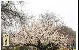 微信图片_20200326155923.jpg