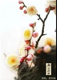微信图片_20200326155957.jpg