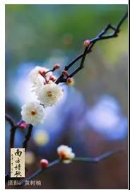 微信图片_20200326160047.jpg