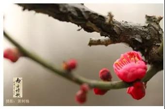 微信图片_20200326160920.jpg