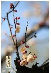 微信图片_20200326160932.jpg